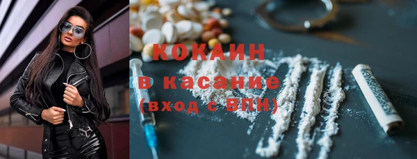 дживик Каменка