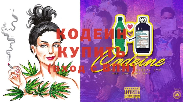 молекула духа Инсар
