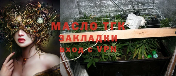молекула духа Инсар